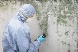 Best Mold Prevention Services  in Cheval, FL